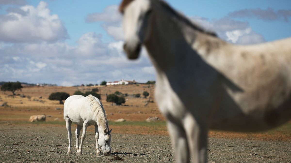 Fotky z Portugalska ukazují, jak vypadá extrémní sucho